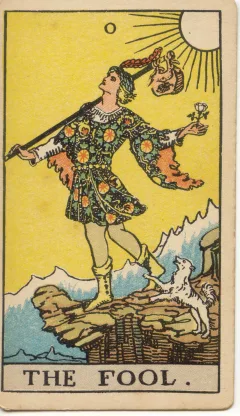 바보, 정방향